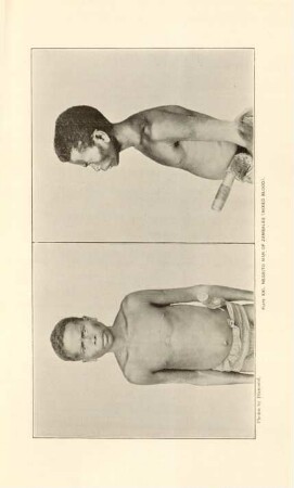 Plate XXI. Negrito man of Zambales (Mixed blood)
