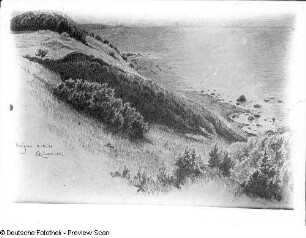 Rügen : Rügen. Lithografie. 2.8.35