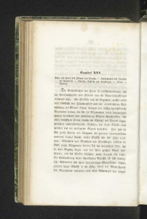 Capitel XVI.