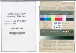Entnazifizierung Elly Schmidt , geb. 16.07.1909 (Friseuse)