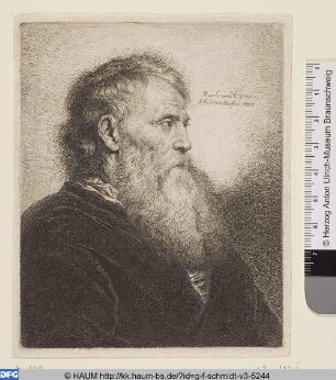 Bildnis eines bärtigen Mannes (Der Patriarch Jacob)