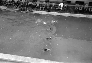 Baneasa: Luftwaffenlazarett, Bassin mit Wettschwimmern, von oben