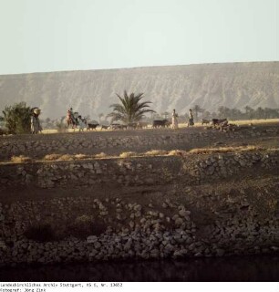 Ägypten: Szenen am Nilufer