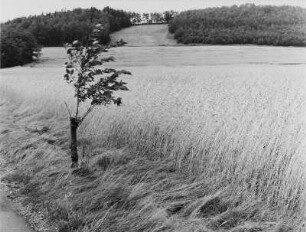 Landschaftsaufnahme