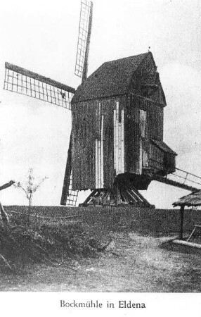 Greifswald-Eldena. Bockmühle, aus: Natur und Heimat, 1953