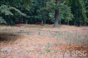 Potsdam, Park Sacrow, Wegebau östlich des Hauptwegs.
