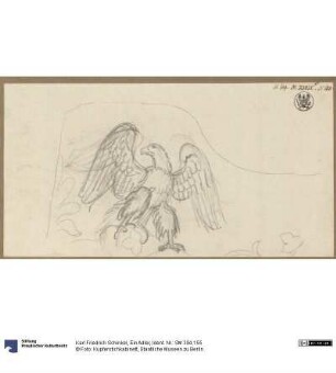 Ein Adler
