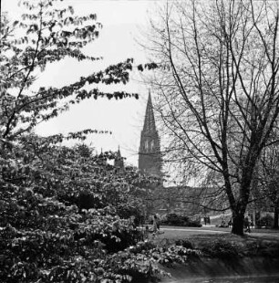 Das Münster in Freiburg