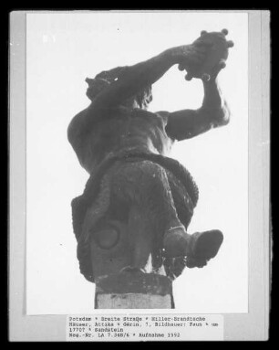 Faun