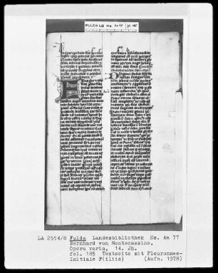Bernhard von Montecassino, Opera varia — Initiale E, Folio 185 recto