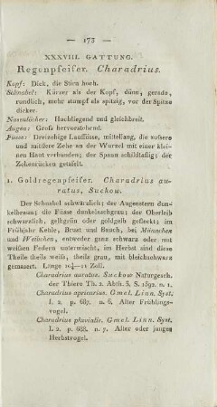 XXXVIII. Gattung. Regenpfeifer. Charadrius