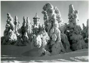 Klínovec (deutsch: Keilberg), Blick durch Bäume zum Keilbergturm auf dem Gipfel mit starkem Anraum