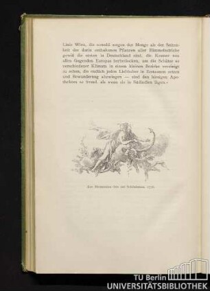 Aus Metastasios Ode auf Schönbrunn, 1776.