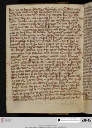Bertholdus Ratisbonensis, Von den Zeichen der Messe
