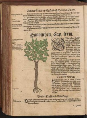 Hanbuchen, Cap. LXXIII