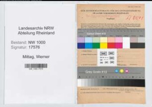 Entnazifizierung Werner Mittag, geb. 20.01.1909 (Faebereileiter)