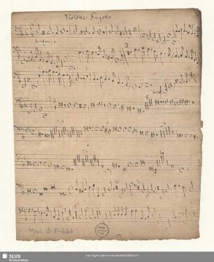 Violone [o] Fagotto