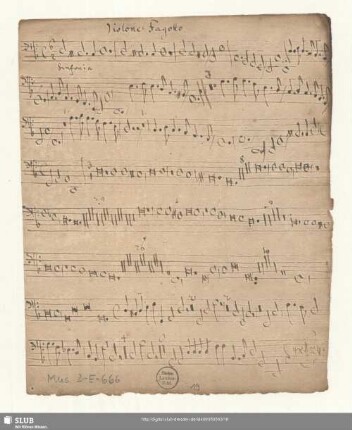 Violone [o] Fagotto