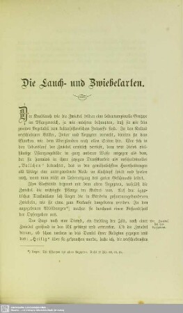 Die Lauch- und Zwiebelarten