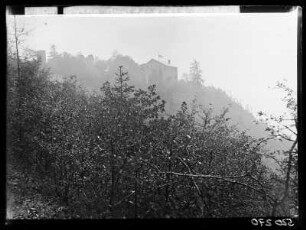 Ruine der Burg Greifenstein
