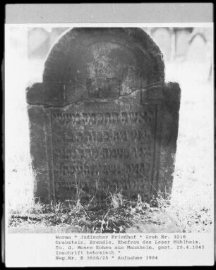 Grabstein von Brendle, Ehefrau des Leser Mühlheim, Tochter des Moses Kohen aus Mannheim (gestorben 1843.04.29)