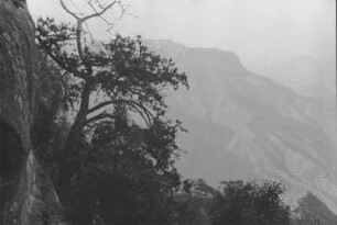 Auf dem Ostabfall unterhalb der Hochfläche : Blick in eine Berglandschaft mit Vegetation