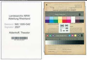 Entnazifizierung Theodor Aldenhoff , geb. 07.12.1907 (Maler)