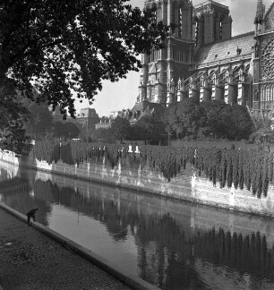 Teilansicht der Südfassade der Notre-Dame von Südosten, im Vordergrund die Seine mit einem Angler (Aufnahme im Rahmen der Fotokampagne im besetzten Frankreich)