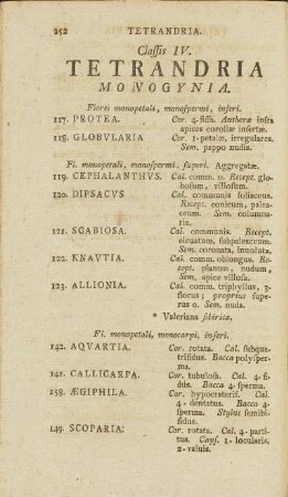 Classis IV. Tetrandria