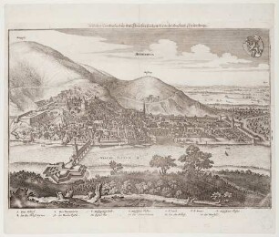 Heidelberg, Stadt und Schloss von Norden