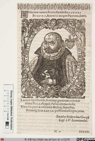 Bildnis Johann Brandis (Brandes)
