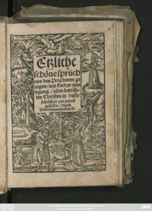 Etzliche || schöne sprüch || aus den Propheten ge||zogen/ mit kurtzer aus||legung/ allen betrüb=||ten Christen in dieser || fehrlichen zeit zutrost || gestellet/ durch || Hieronimum weller D.||