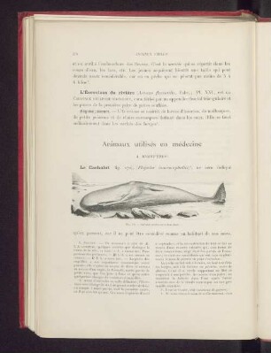 Animaux utilisés en médecine