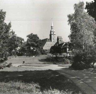 Freiberg, Scheringerpark, Blick zur Petrikirche