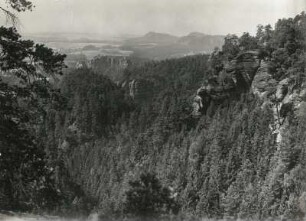 Elbsandsteingebirge. Polenztal. Polenztalwände. Blick von der Ostwand des oberen Saugrundes gegen Bärenstein und Rauenstein