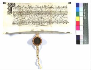 Kaufbrief von Michael Herpst, Bürger zu Burtenbach