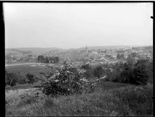 Buchen Ortsbild - Ansicht von Südosten, im Vordergrund ist die Odenwälder Schlehenblüte zu sehen