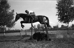 Reitturnier des Reitsportclubs Daxlanden anläßlich seines 10jährigen Bestehens.