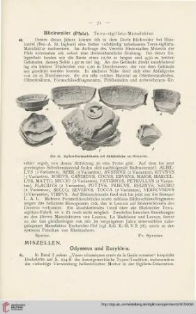 6: Blickweiler (Pfalz) : Terra-sigillata-Manufaktur