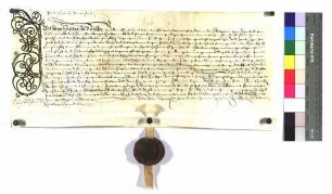Hans Vischer zu Neuler erhält von Schenk Christof, die Lehen, welche in U 980 aufgeführt sind.