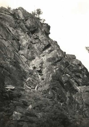 Vogtland. Rehhübel bei Falkenstein. Rückseite der Falte von Süd gesehen. Kambrischer Grauwackenquarzit