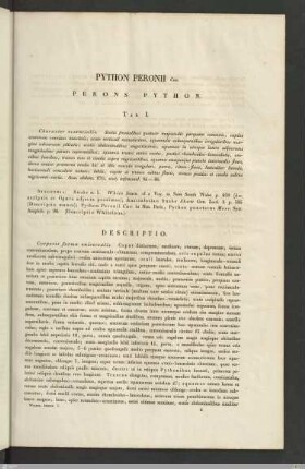 Text mit Illustrationen