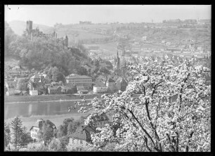 Blick auf Mainufer, Burg und Alte Steige Richtung Wartberg