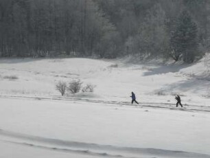 Sachsen-Anhalt. Friedrichsbrunn, Kurort im Unterharz, bietet mit gespurten Loipen ideale Wintersportbedingungen für Langläufer