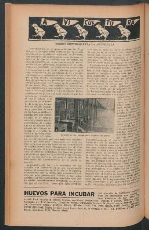Avicultura : Buenos síntomas para la avicultura