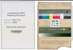 Entnazifizierung Hermann Mommertz , geb. 08.02.1911 (Gartenmeister)