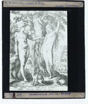 Goltzius, Adam und Eva (Druck, Hollstein VIII.107.316)