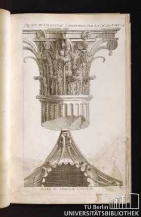 Profil du Chapiteau Corinthien sur la Diagonale.