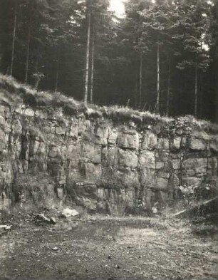 Elbsandsteingebirge. Basaltbruch am Großen Zschirnstein