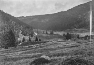Berglandschaft : Blick über eine Hochebene mit Wiesenfläche, links und im Hintergrund Bergwald auf den Hängen, vorn ein Zaun